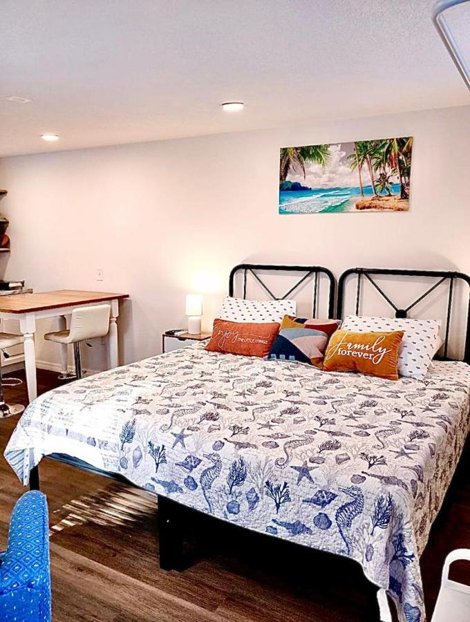 Two Fully Equipped Apartments And A Studio 5 Miles From The Beach Saint Petersburg Eksteriør billede