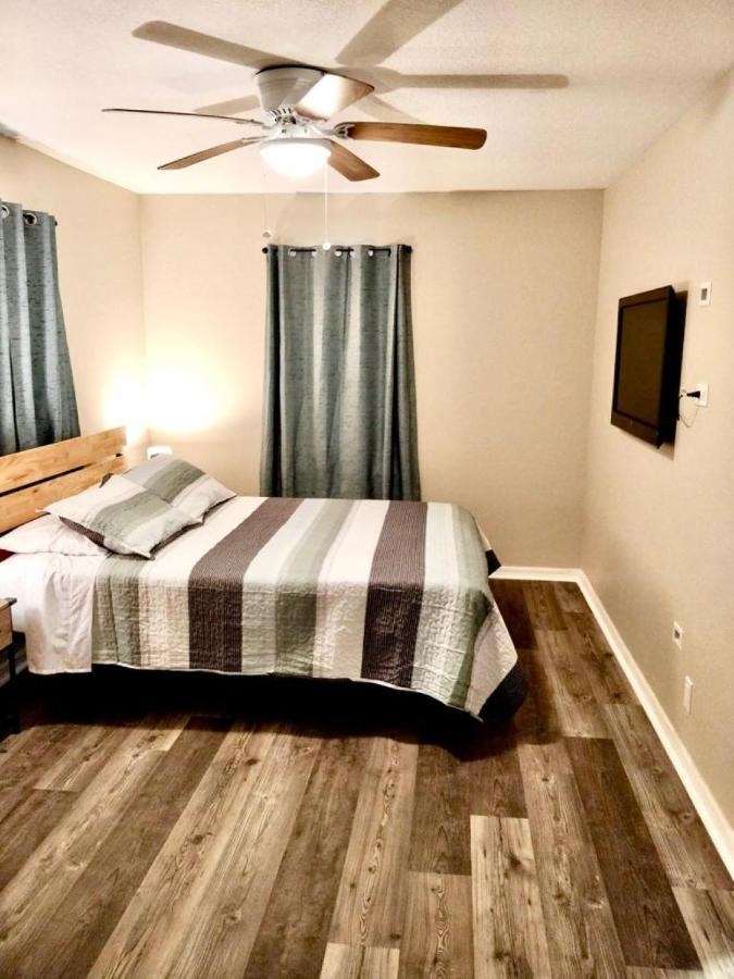 Two Fully Equipped Apartments And A Studio 5 Miles From The Beach Saint Petersburg Eksteriør billede